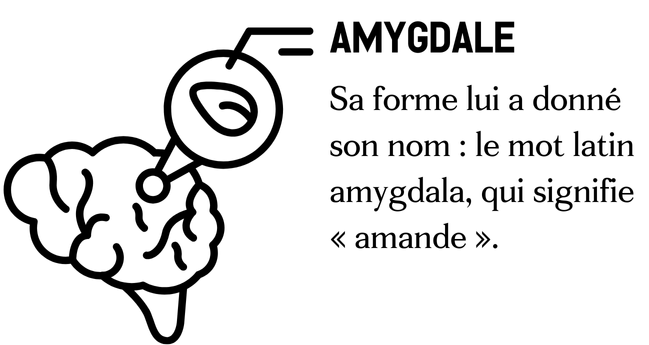 Carrousel-LinkedIn-lettre-7 - L'École des Sens